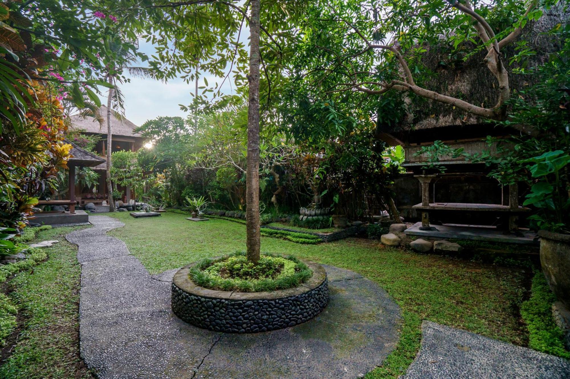 Villa Sujati أوبود المظهر الخارجي الصورة